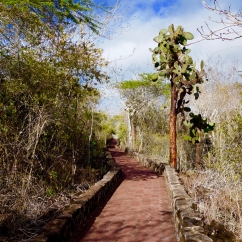 Santa Cruz, Galapagos